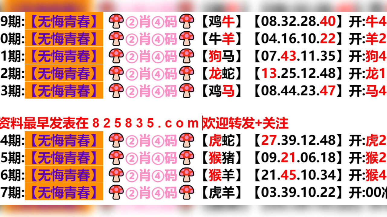 2024年新奥门天天开彩｜精选解释解析落实